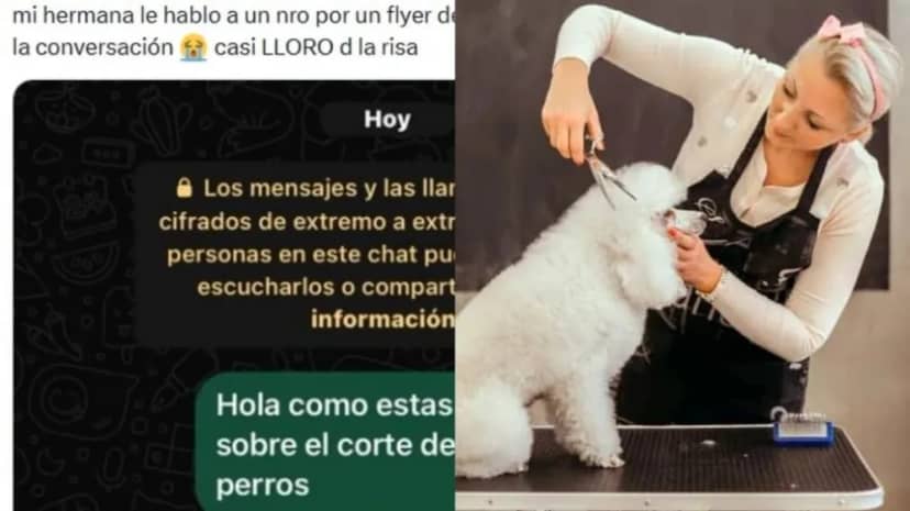 Pidió turno a una peluquería para bañar a su mascota y la respuesta que recibió la descolocó