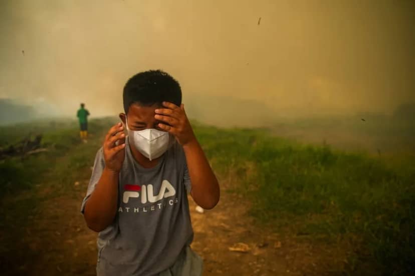 El Niño entra en una fase muy fuerte: qué regiones enfrentan más riesgo de sequías e inundaciones