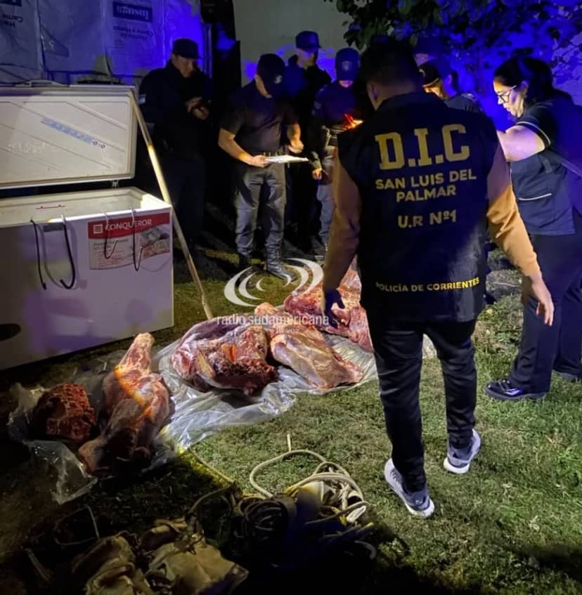 Incautan carne faenada de forma clandestina: hay dos demorados