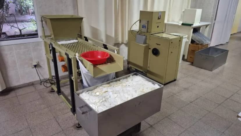 Monjas elaboran 400 mil hostias para la visita del Papa León en Córdoba