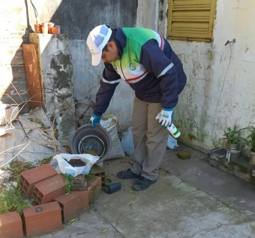Vacuna contra el dengue: a quiénes corresponde y dónde aplicarse las dosis
