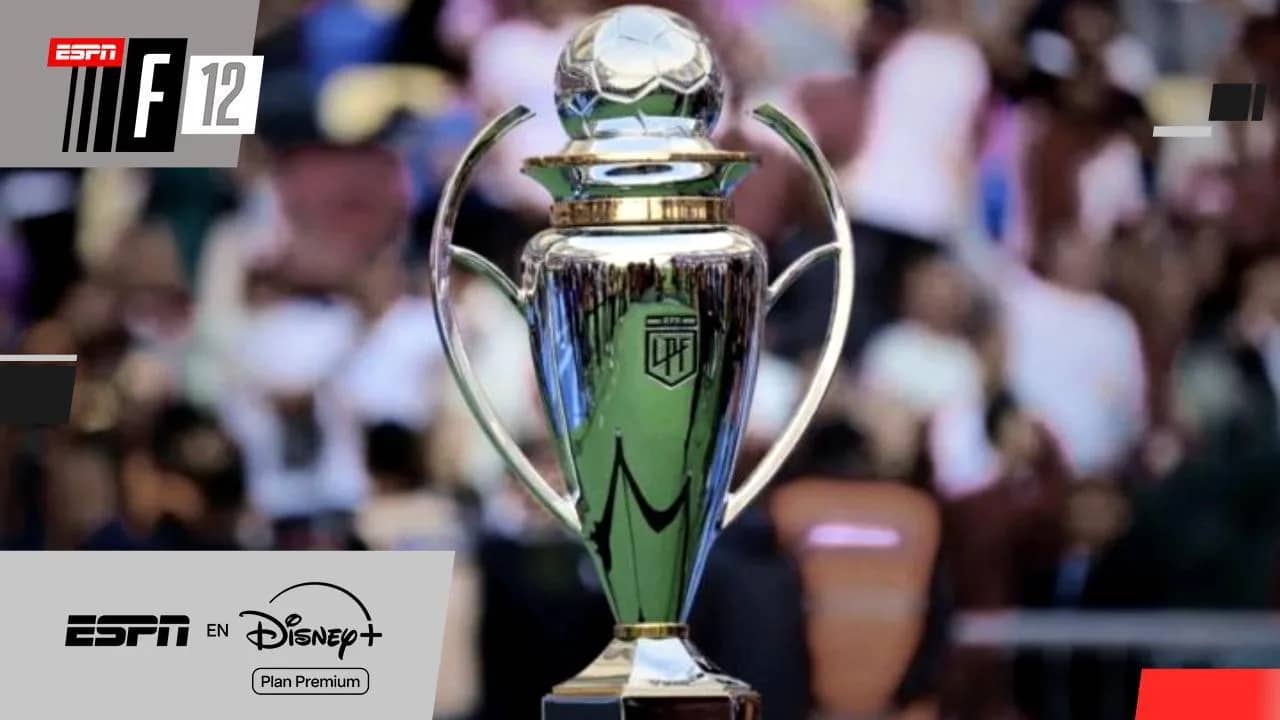 El proyecto sobre el que se trabaja para el torneo 2027