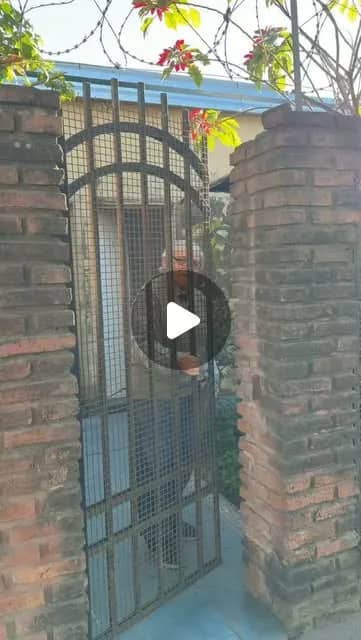 "Carlos está cada vez más cerca de cumplir una meta: terminar la secundaria.