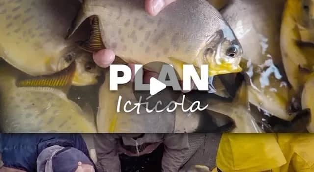 "A través del Plan Ictícola, estamos potenciando los recursos naturales y el capital humano de la provincia para proy...
