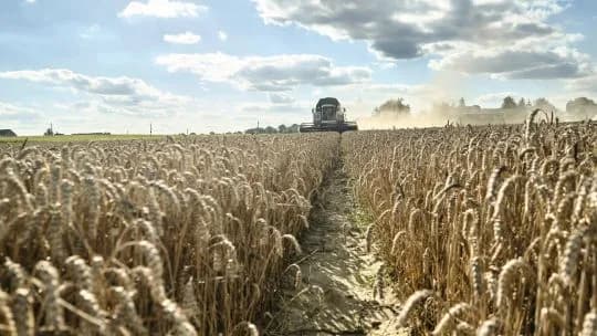 El nacimiento de Esperanza: la gesta santafesina que dio origen al Día de la Agricultura Nacional
