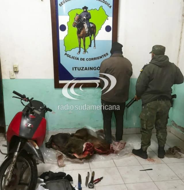 Detuvieron a un cazador furtivo en la Reserva Natural Cambyretá
