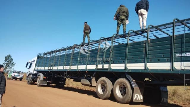 Detenido por adulterar una guía de traslado de ganado en La Cruz