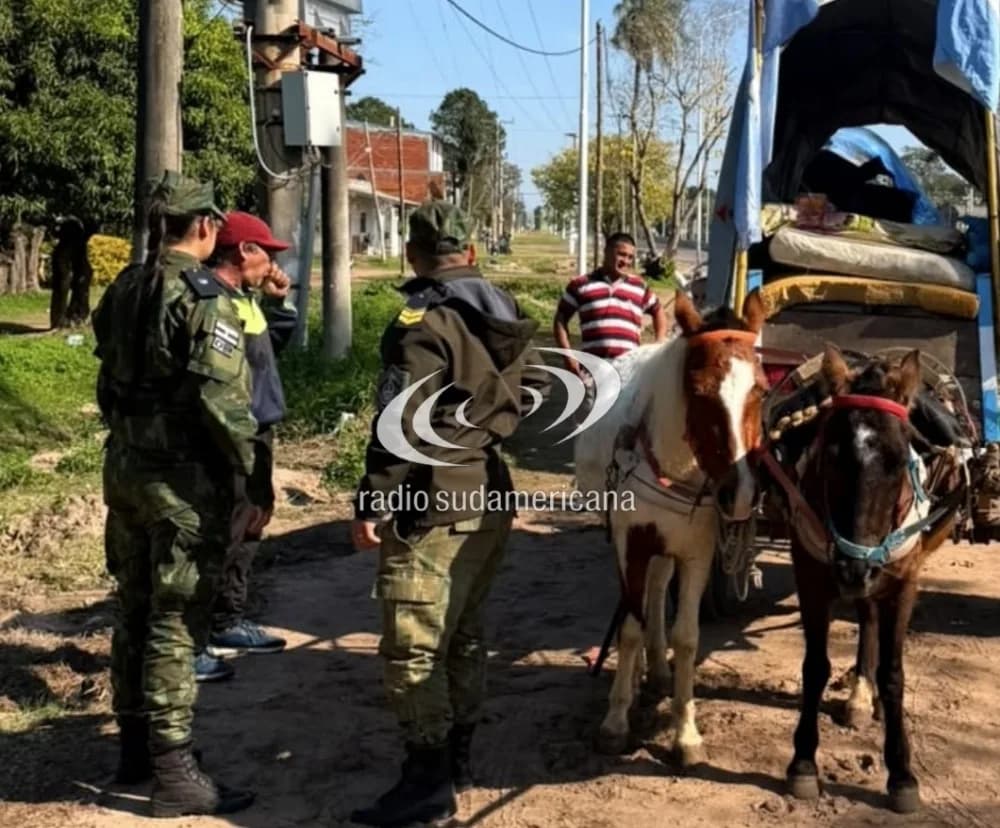 Peregrinación a Itatí: controles para evitar el maltrato animal