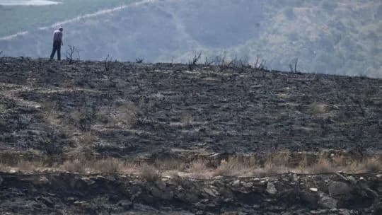 España: ceden los incendios que dejaron atroz reguero de muerte y destrucción en Andalucía