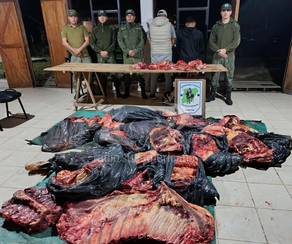 Dos demorados por transportar casi media tonelada de carne en un auto