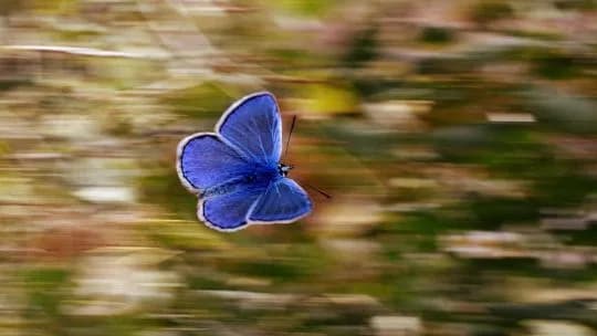 El efecto mariposa de ChatGPT