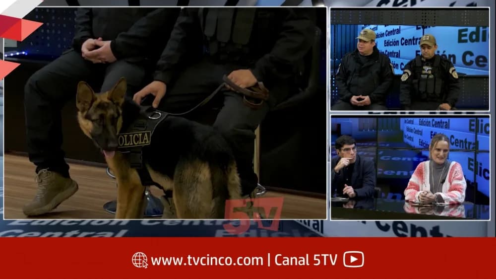 Portada de video: Cómo se entrena a los perros de la División Canes: No se los droga