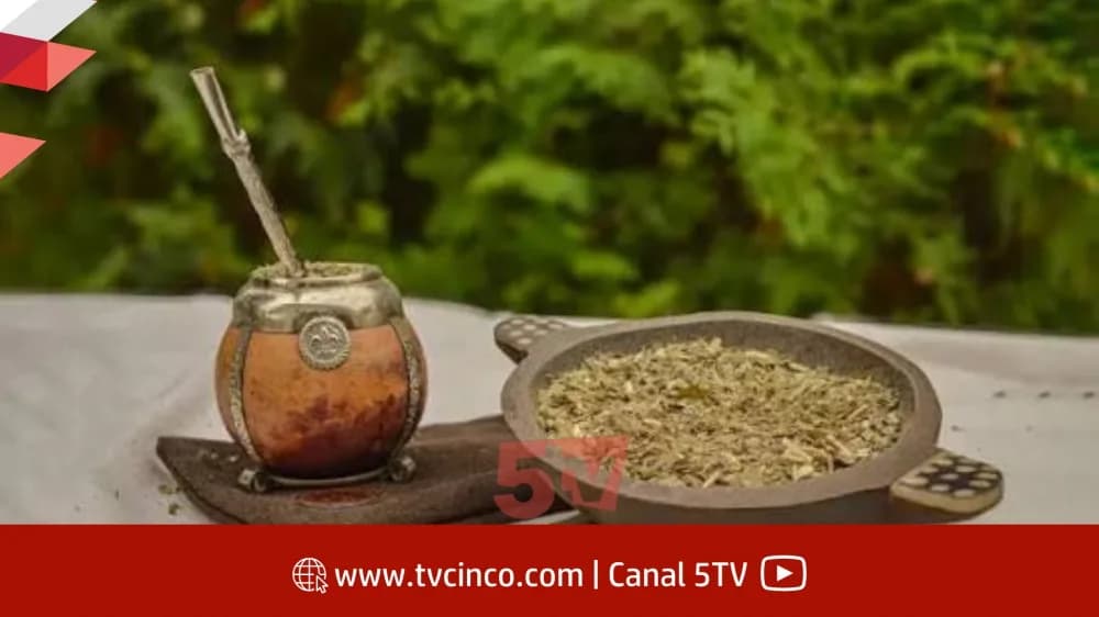 Portada de video: Yerba mate a la India: Tenemos muy buenas perspectivas para instalarla