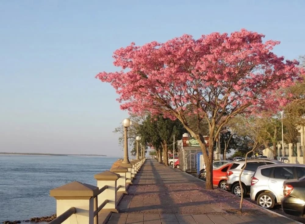 Finde agradable en Corrientes pero con alerta amarilla para el lunes