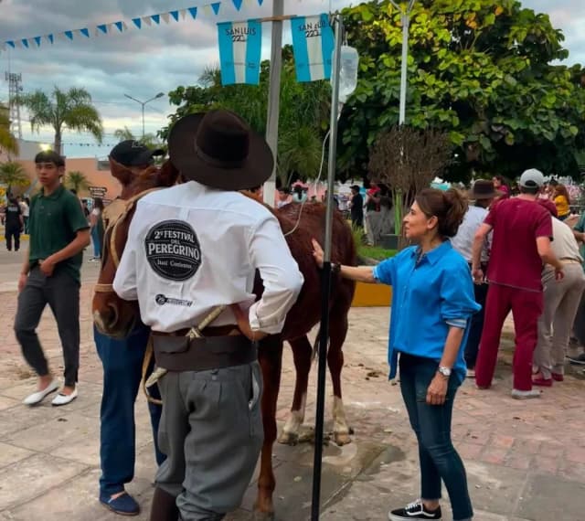 Más de 270 intervenciones fortalecieron el bienestar animal