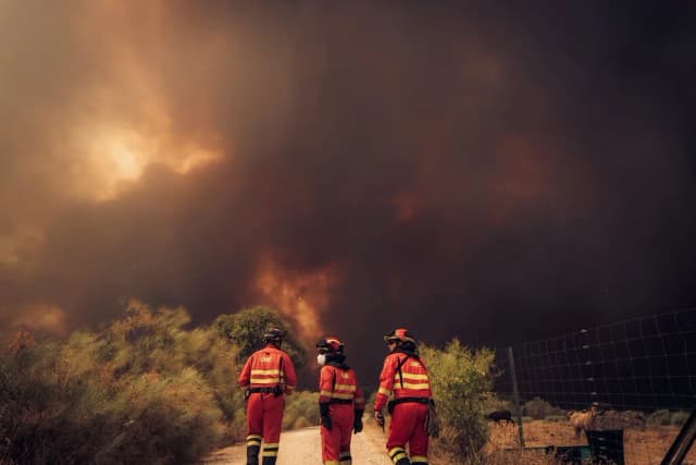 "Es el mayor de la historia de España": Ávila es la prueba de que los grandes incendios forestales han llegado para quedarse