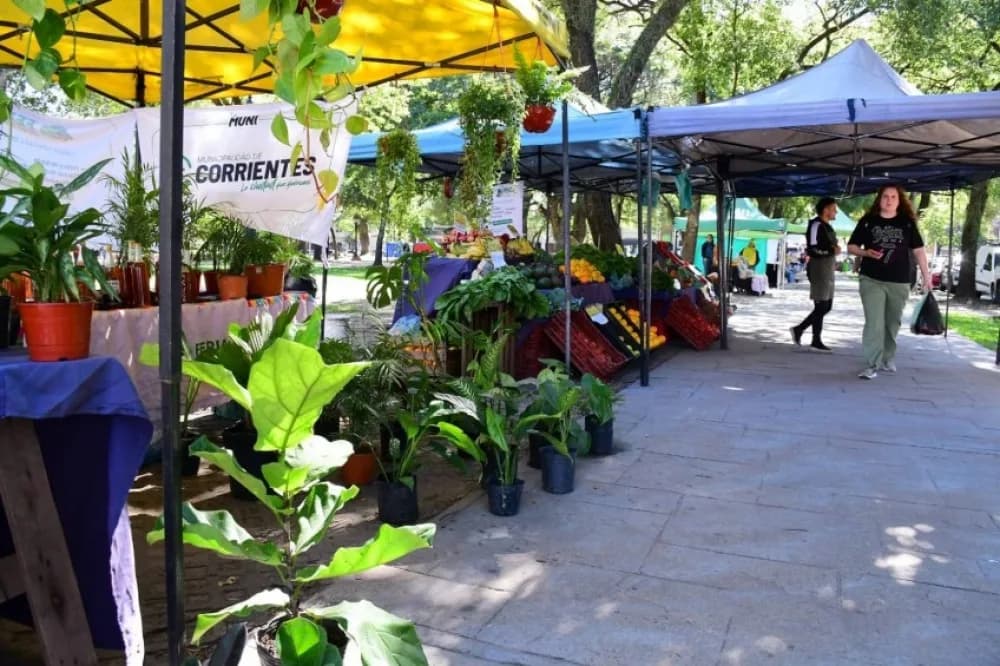 Corrientes: conocé dónde y cuándo estarán las Ferias de la Ciudad