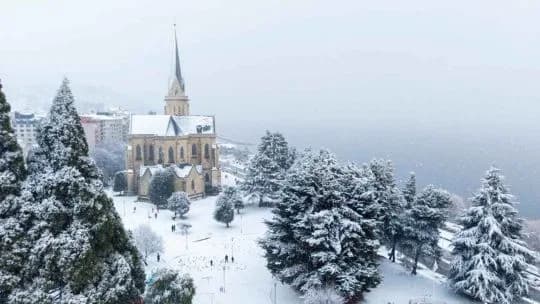 Bariloche deslumbró en la Expo Rural: gastronomía, invierno y turismo masivo