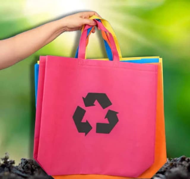 Editorial: la gran mentira de la bolsita ecológica