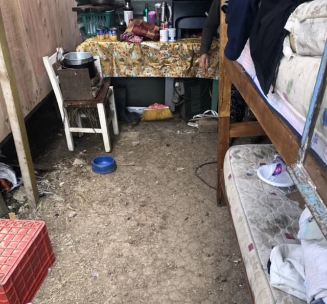 Revelan cuáles son las provincias con más casas con piso de tierra