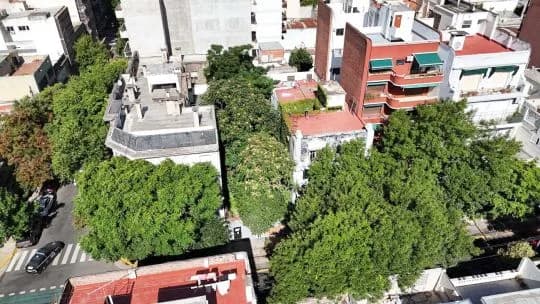 El bosque oculto del barrio de Almagro que los vecinos quieren salvar antes de que sea tarde
