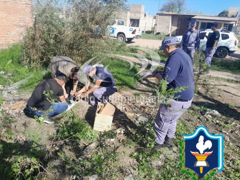 Chaco: hallaron un cráneo humano y otros restos en un basural