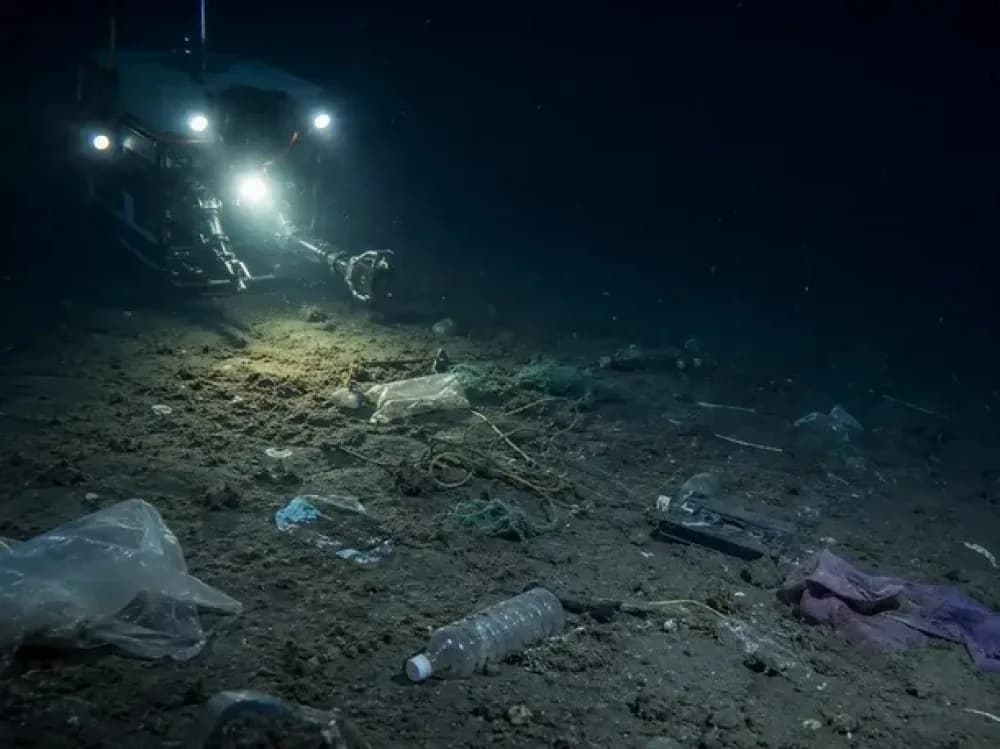 Científicos alertan por la cantidad de basura en las profundidades del Mar Argentino