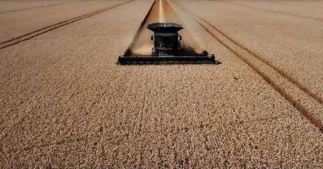 “Corta la secuencia de fragilidad”: las ventas de maquinaria agrícola saltaron un 45% mensual en julio, con las cosechadoras liderando el rebote