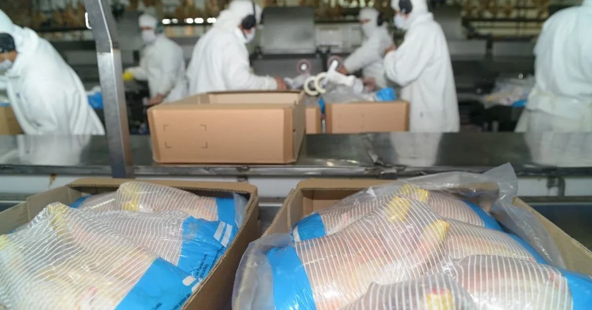 "Nueva oportunidad": tras la reapertura europea, Argentina logró abrir el mercado surcoreano para la carne aviar