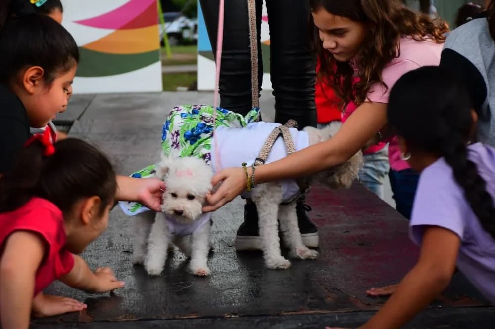 La Asociación Munay celebra sus 9 años con un desfile solidario de mascotas