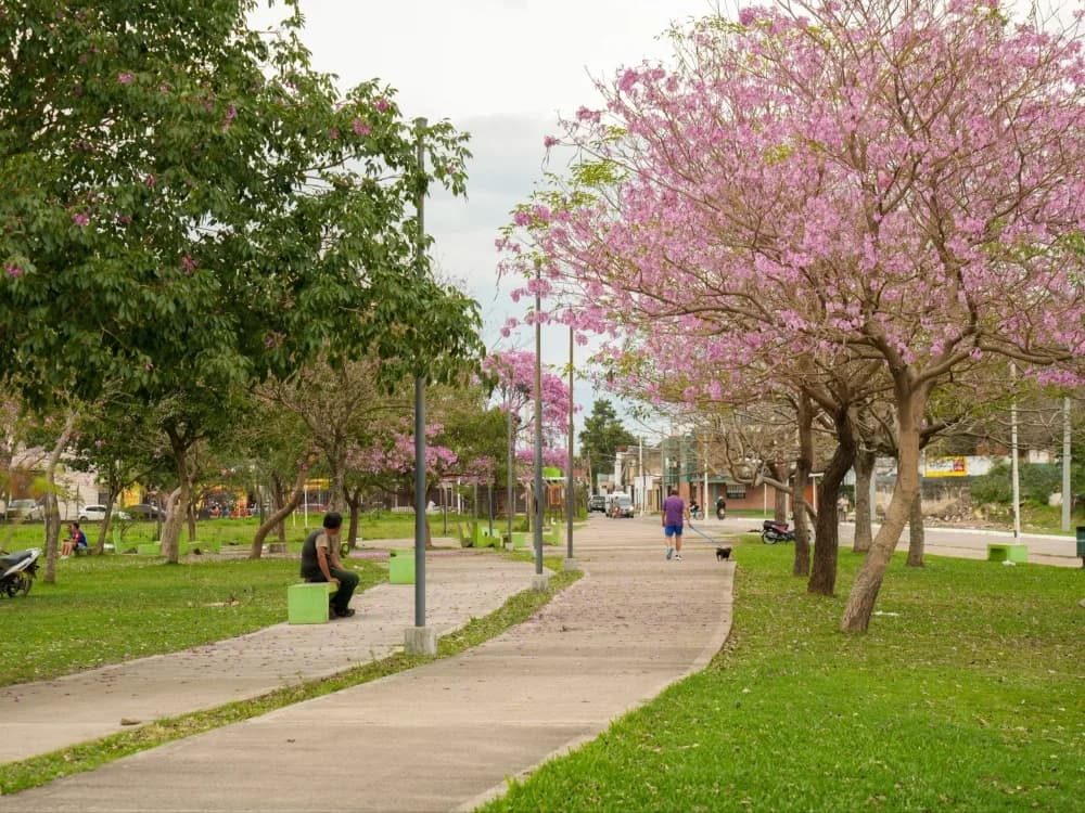 Corrientes: lanzaron el concurso de fotografía La ciudad que queremos florece