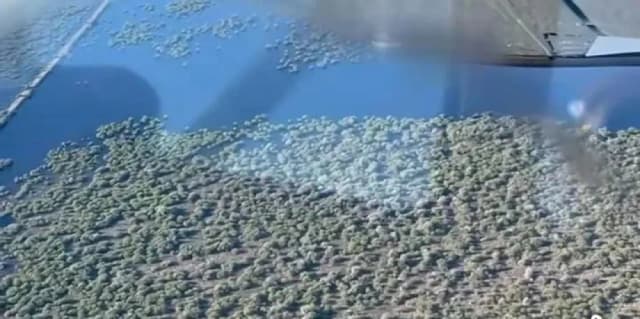 Productores denuncian que un terraplén genera anegamientos