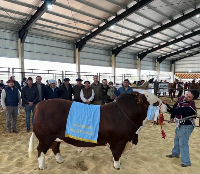La cabaña Don Cancio se consagró en la Rural con dos campeones