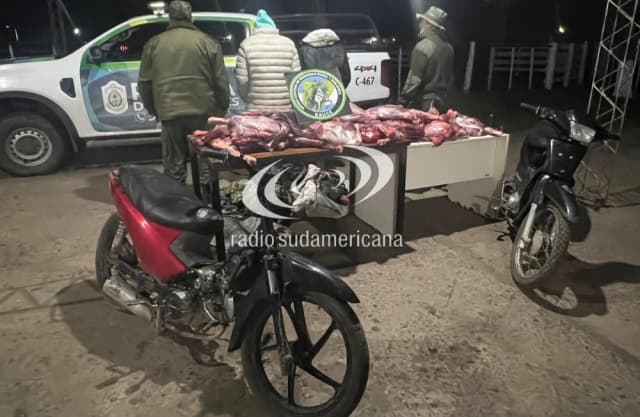 Detuvieron a cazadores detenidos con más de cien kilos de ciervo
