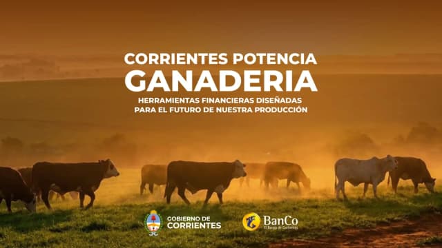 Valdés anunció nuevas líneas de financiamiento para potenciar la ganadería correntina