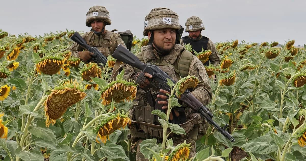 El precio de un cultivo que vive un boom en Argentina vuelve a niveles que no se veían desde los comienzos de la Guerra entre Rusia y Ucrania