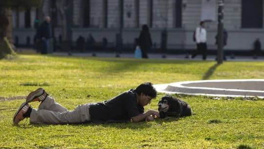 Clima en Ciudad de Buenos Aires: neblinas matinales y paulatino ascenso térmico con marcas de hasta 15 grados