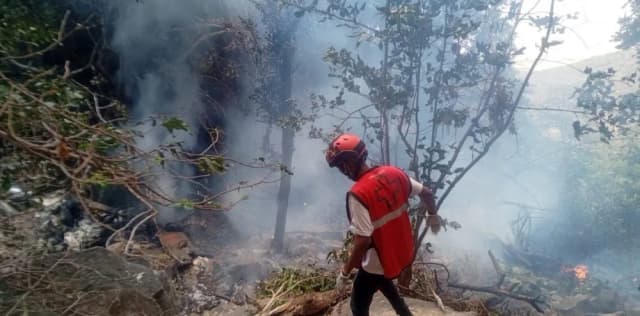 Se estrelló un helicóptero en Kenia: murió el jefe de inteligencia de Ecuador
