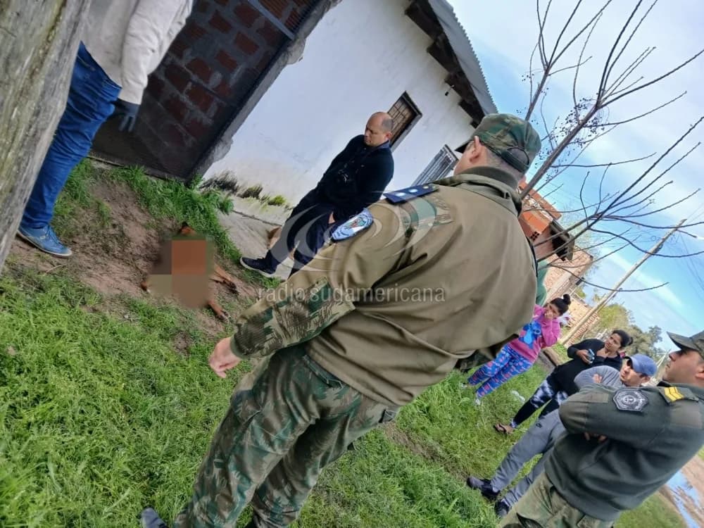 Esquina: sujeto mató a balazos a un perro y terminó detenido
