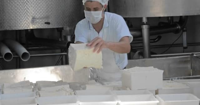 Ranking de la industria láctea: 5 empresas concentran el 36% de la producción, las cooperativas apenas el 3% y hay firmas que ya no participan del mercado