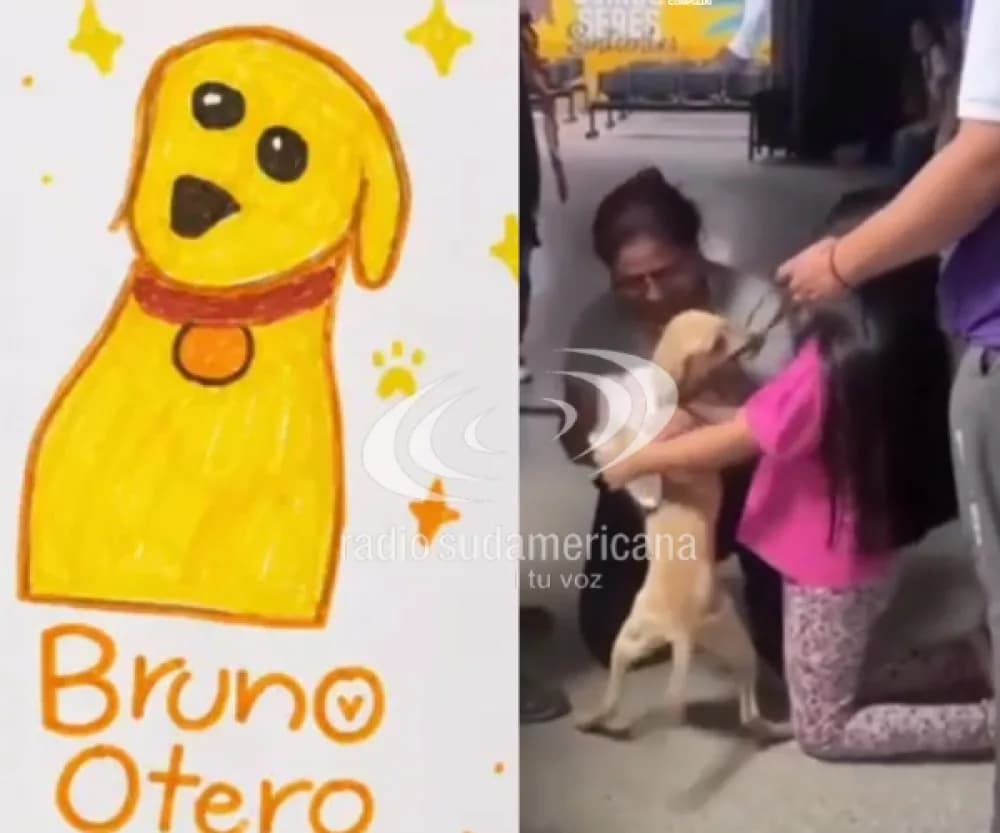 Una nena dibujó a su perro para buscarlo tras el terremoto y logró encontrarlo