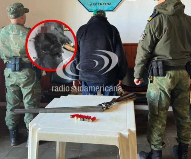 Mató de un escopetazo al perro de su vecino y terminó tras las rejas