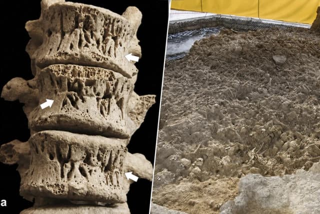 La mayor tumba de la Edad del Cobre en Europa está en Murcia. Y revela una "sangría" infantil