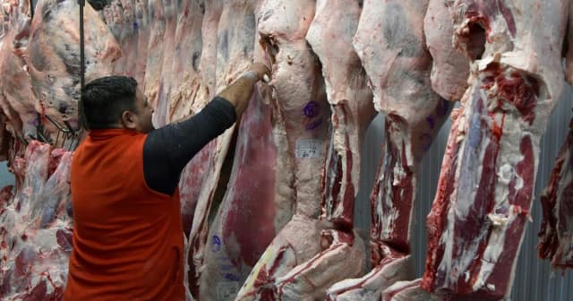 Las exportaciones de carne vacuna crecieron 42% en valor en los primeros siete meses del año