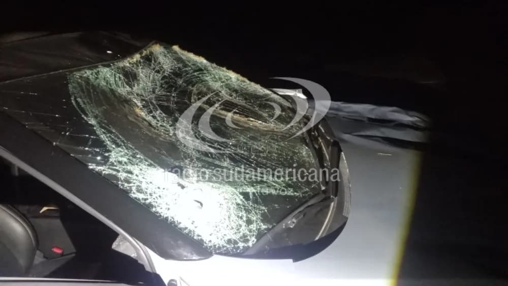 Corrientes: un auto chocó contra una vaca sobre la Ruta 9