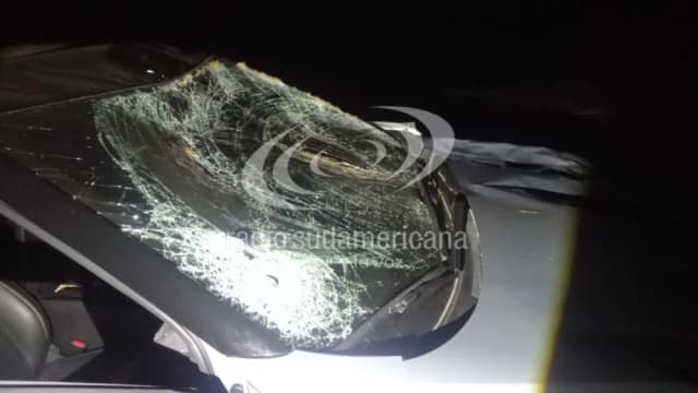 Corrientes: un auto chocó contra una vaca sobre la Ruta 9