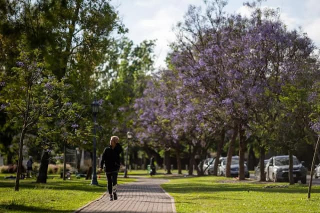 Este es el próximo fin de semana largo por un feriado nacional