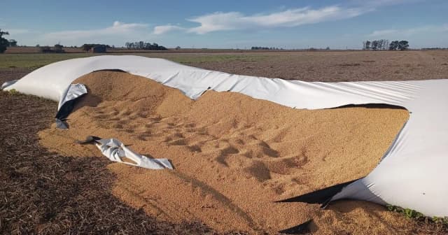 Gana apoyo un proyecto en el Congreso sobre Vandalismo Rural que crea nuevas figuras y endurece penas