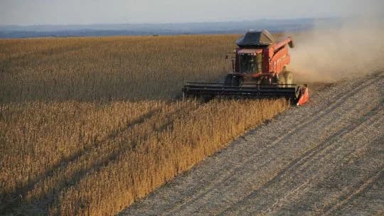Aunque la confianza del campo no mejora, 64% cree que es buen momento para invertir: la tierra lidera las preferencias