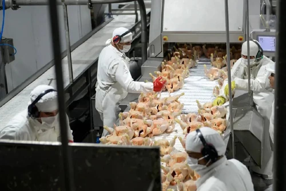 Granja Tres Arroyos cerró otra planta: temen por el cierre definitivo de avícola
